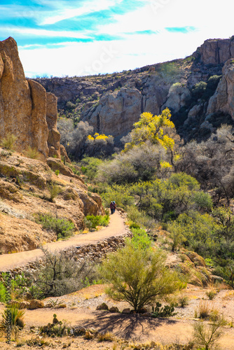 Superior, Arizona, USA. high desert, hiking trails, Boyce Thompson Arboretum