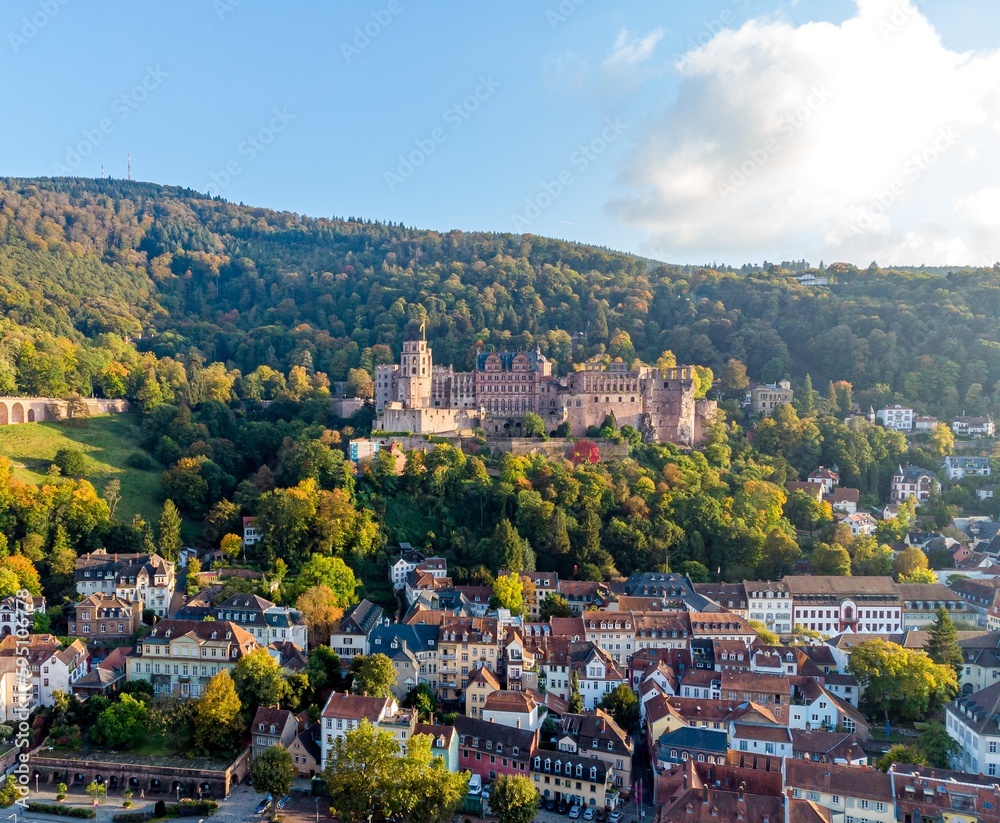 Panorama on Heidelberg. Castle, Neckar river, bridge. Baden Wurttemberg. Germany
