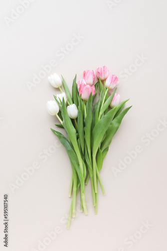 tulips on neutral background 