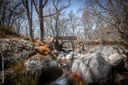 Beautiful landscape in winter with trees without leaves, a stone bridge under which a stream passes between large rocks