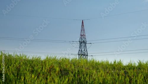 Fresh green grass swaying under wind against high voltage power line. Concept of green electricity, renewable power and energy, modern technologies.