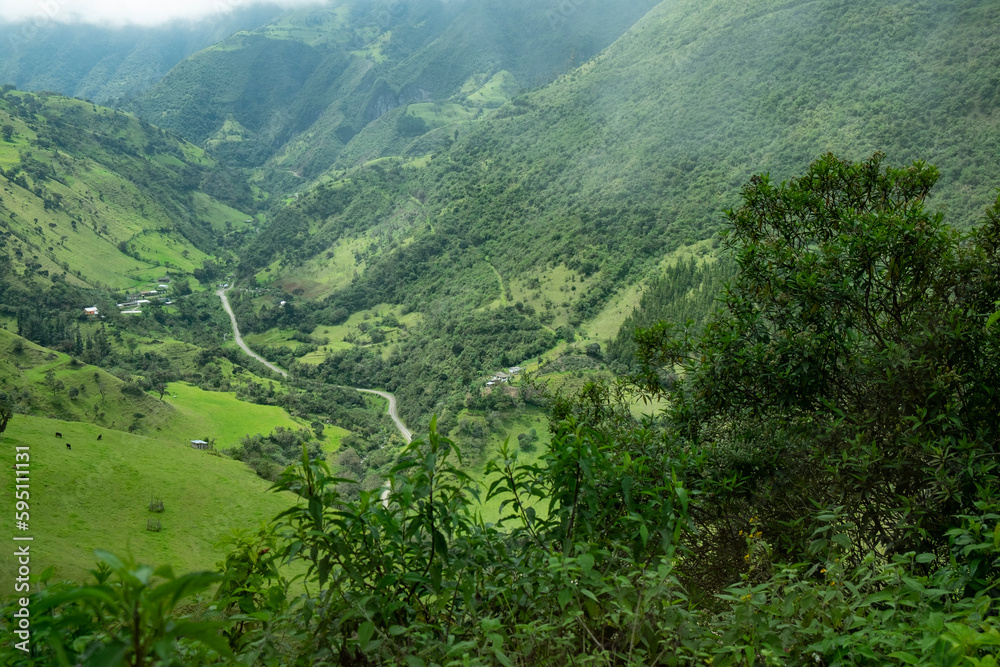Some of the jungle has been cleared in the Andes highlands.