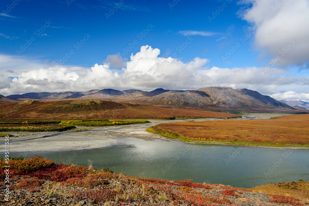 USA, Alaska, Noatak National Preserve. Autumn colors at the confluence between Noatak and Niniuktuk Rivers.