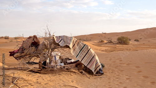 Rugs draped over a bush in a bedouin camp in the Sahara Desert, outside of Douz, Tunisia