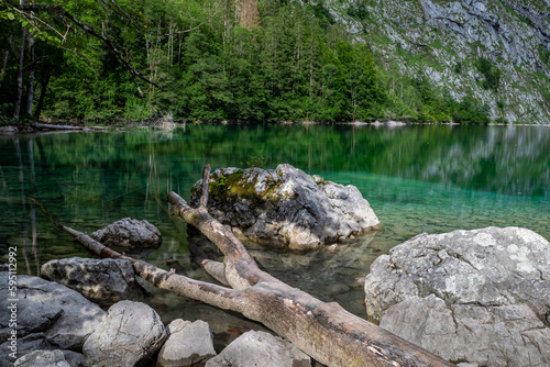 Dead Tree Trunk and Stones in Obersee Mountain Lake, Berchtesgaden, Germany, Europe