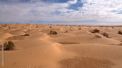 Fototapeta Naklejka Na Ścianę i Meble -  Sand dunes in the Sahara Desert, outside of Douz, Tunisia
