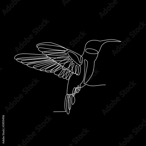 colibri single continuous line vector illustration. Hummingbird one line drawing