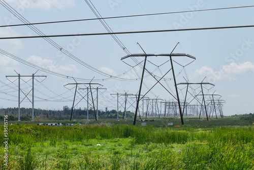 Powerlines Parallel the Everglades