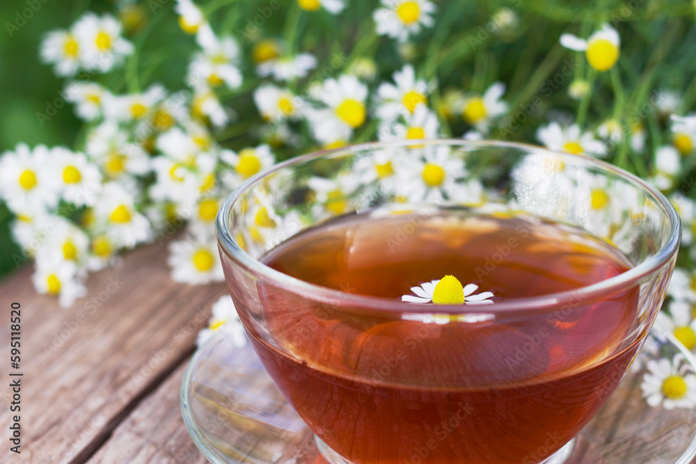 cup of hot tea with chamomile flowers cup of hot tea with chamomile flowers