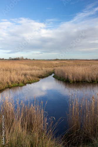 Reflections on the River Blyth, Suffolk, England, United Kingdom