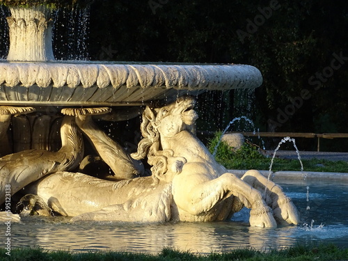 Photography horse fountain in rome