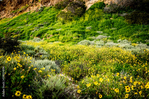 Spring Hiking Trales