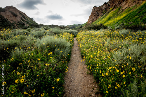Spring Hiking Trales