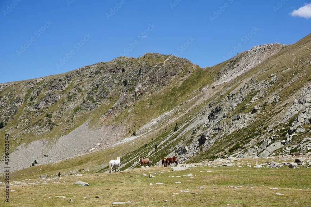 Beautiful landscape of the Pyrenees