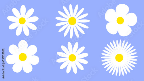 daisies, white flowers,  flowers set,  Simple chamomile set, summer print