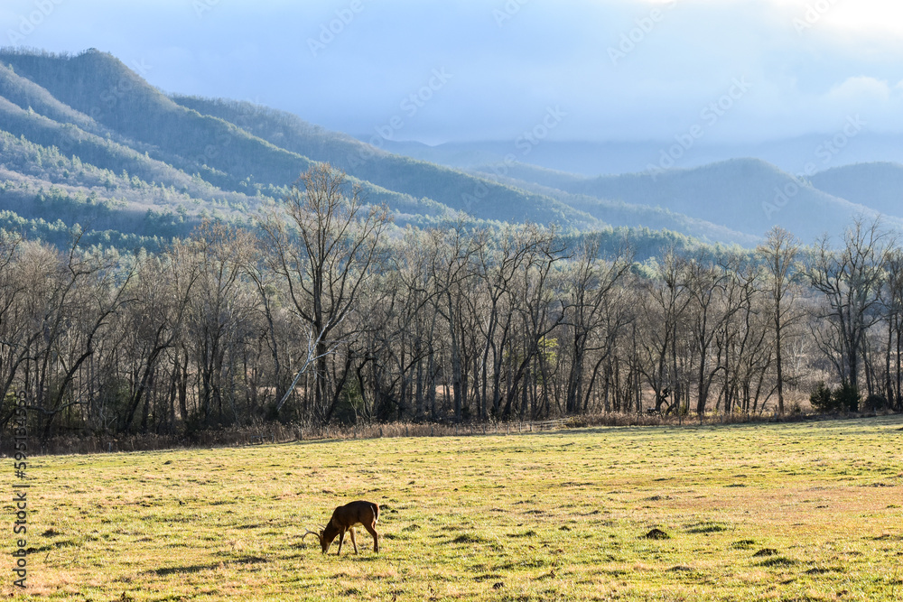great smoky mountain landscapes