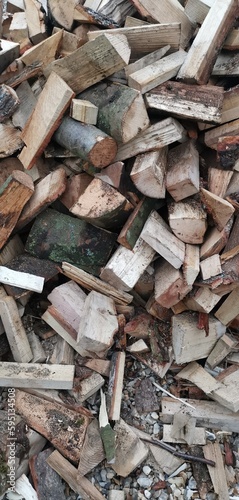 pile of firewood