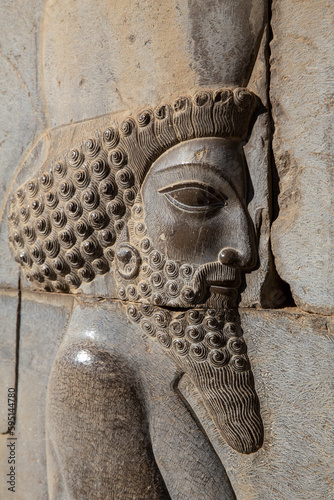 Medes Soldier Bas-relief on Eastern Stairway of Apadana, Persepolis