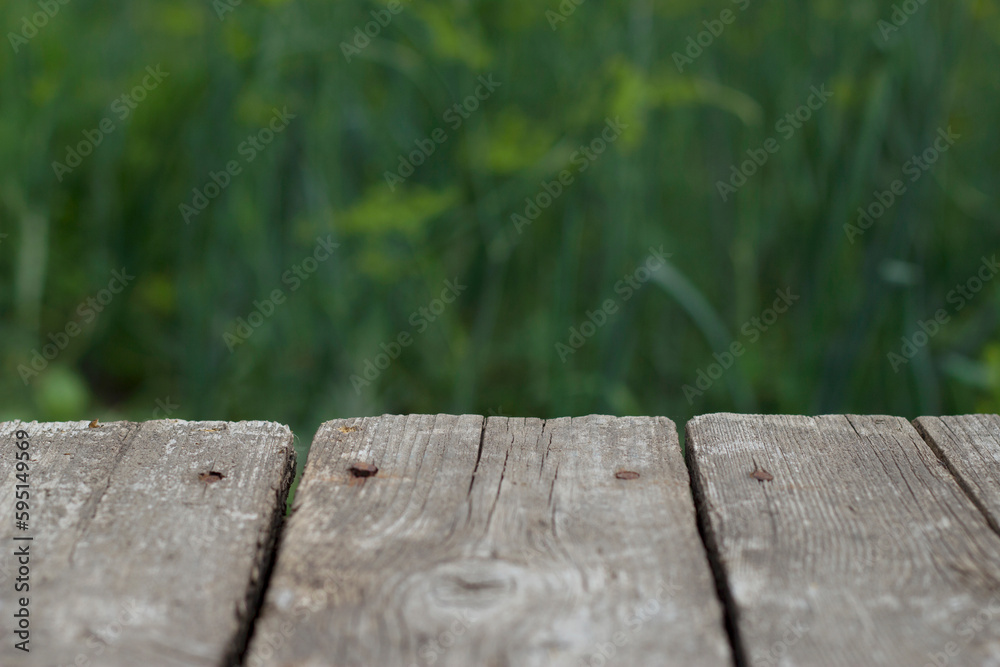 Fototapeta premium wooden bench in summer garden with unfocused dill plants on the background