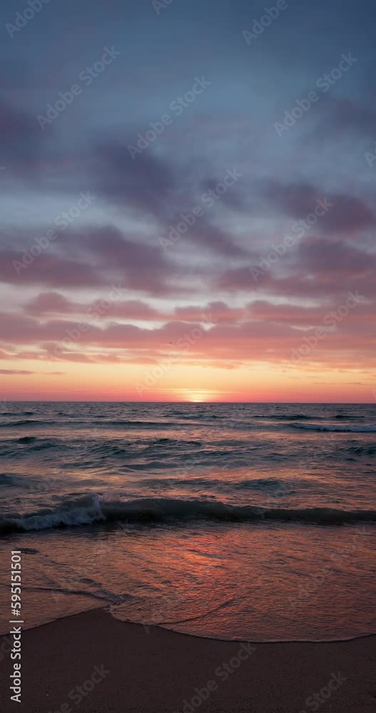 Tropical color sea sunrise over ocean beach and flying birds 4k vertical video