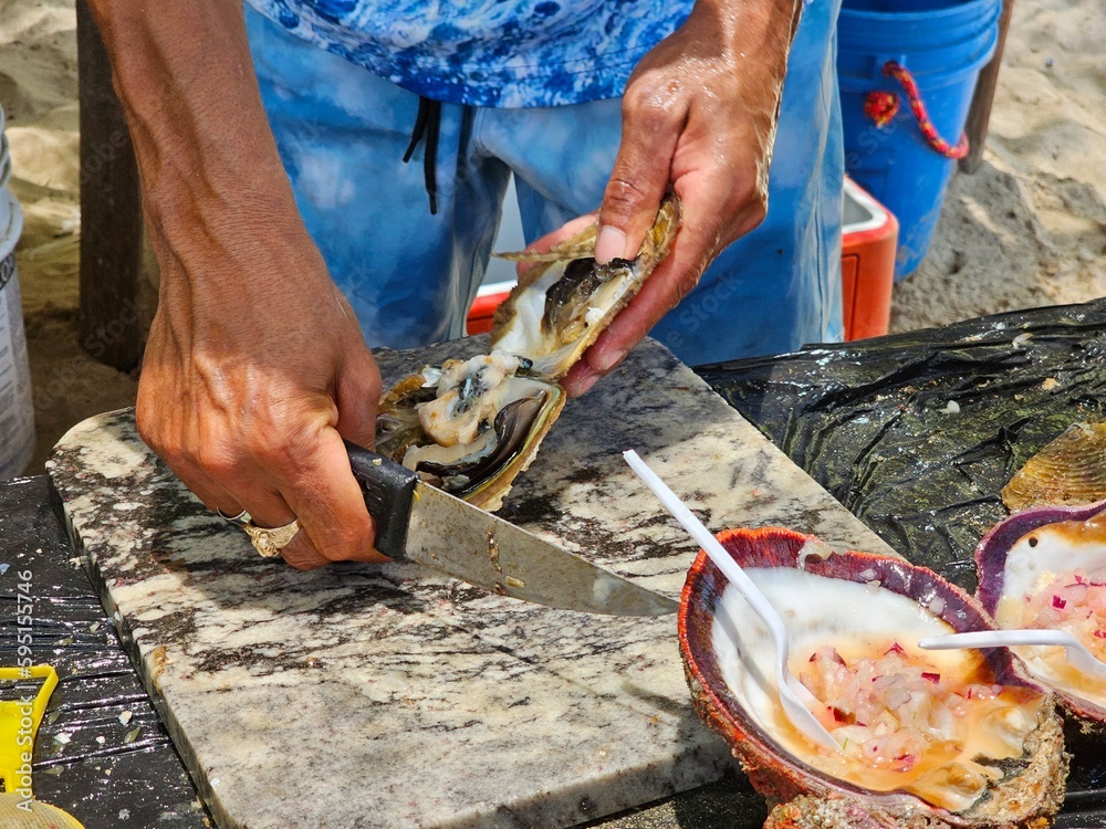 With strong, calloused hands and a weathered face, the traditional man deftly shucks oysters at the beach, skillfully prying apart their tough shells to reveal the succulent, briny meat within. With strong, calloused hands and a weathered face, the traditional man deftly shucks oysters at the beach, skillfully prying apart their tough shells to reveal the succulent, briny meat within.