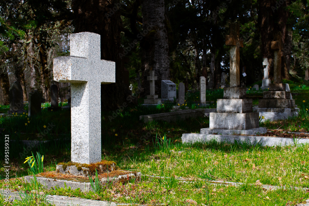An image of a single stone cross marking a gravesite in a tranquil cemetery. An image of a single stone cross marking a gravesite in a tranquil cemetery.