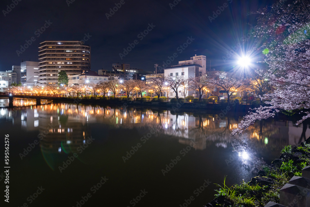 Fototapeta premium 神奈川県小田原市 夜の小田原城と夜桜