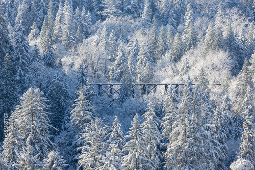 Leinwand Poster USA, Washington State, Snoqualmie Falls area with fresh snow fallen on Evergreen