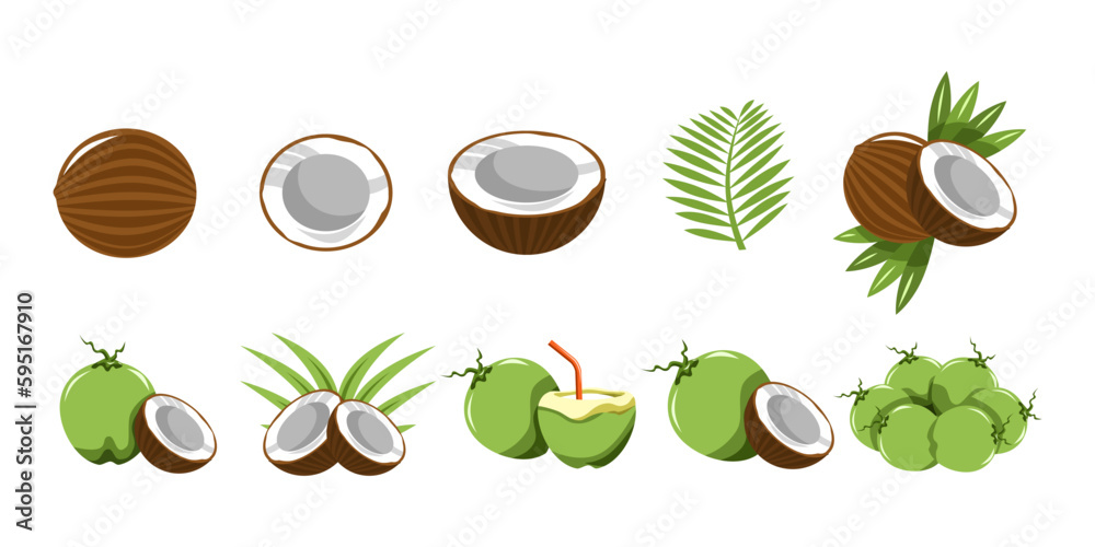 Coconut vector set collection graphic clipart design Coconut vector set collection graphic clipart design
