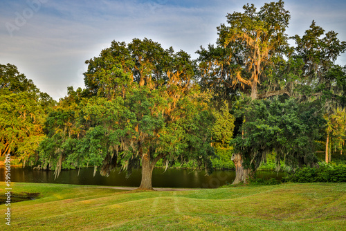 USA, South Carolina, Charleston. Middleton Place