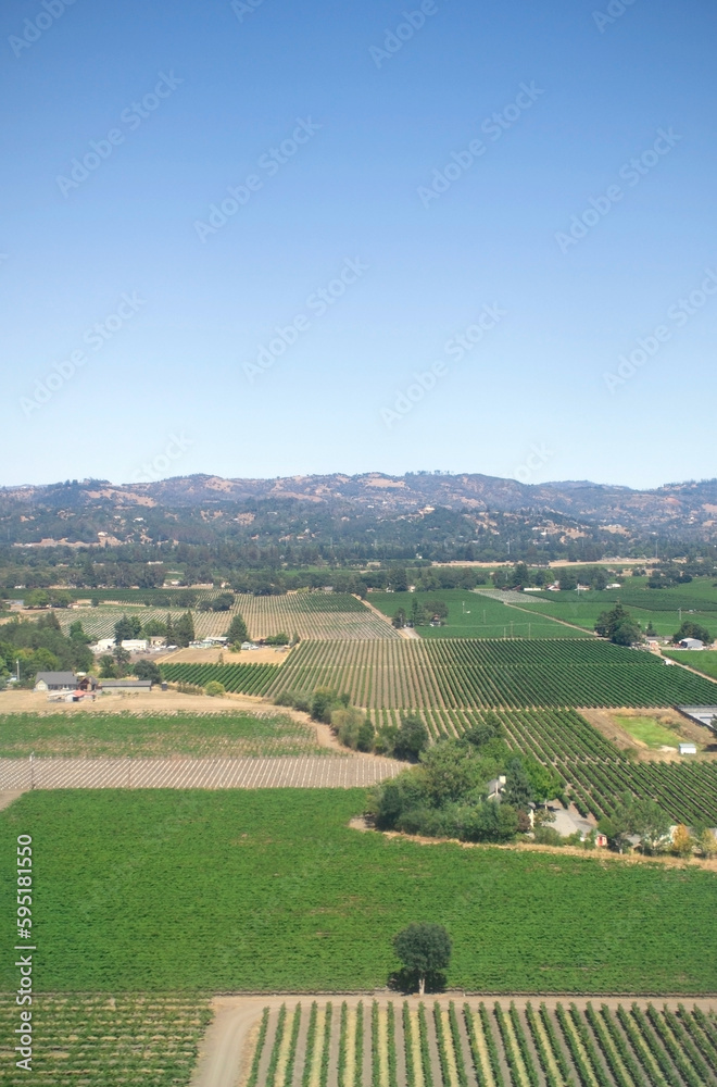 aerial view of green fields of farms and vineyards  in sonoma county ca wine country vertical 