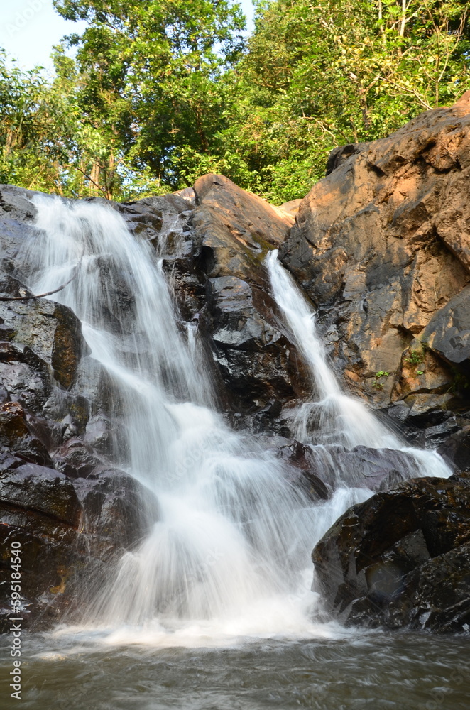 Naklejka premium waterfall in the forest