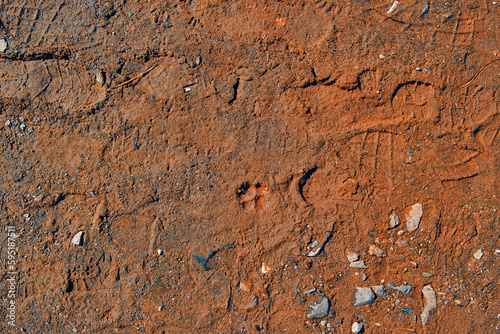 Wet ground with footprints. Mud ground with human footprints. Soil background. Red clay