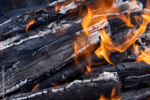 logs of apple tree wood burning down in the fire