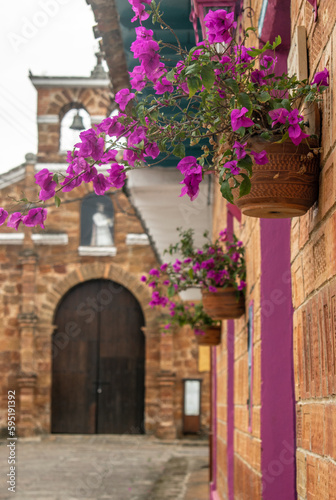 Old colonial town with pink flowers in charala  santander  colombia. In the background the old stone church