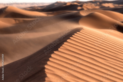 Sunset on ripples on Sand Dunes of Wahiba Sands Desert, Oman