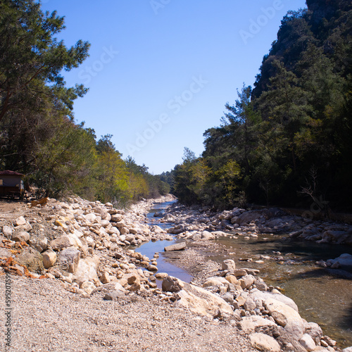 mountain river in the mountains