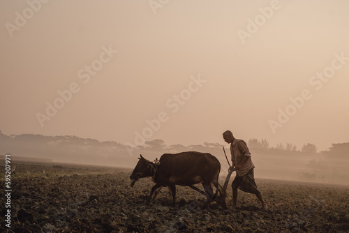 Rural farmer is ploughing his land with two cow by a old traditional method in a Fototapet