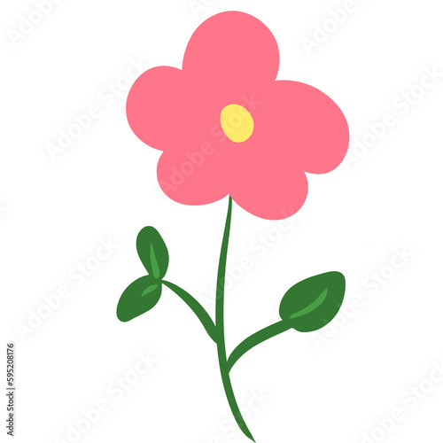 pink flowers for illustration 