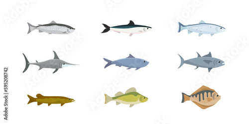 Fishes set, isolated sea and river fishes collection for restaurant menu