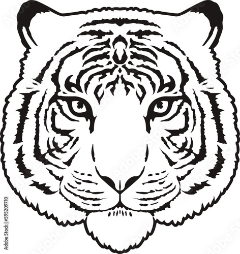 Fototapeta Naklejka Na Ścianę i Meble -  Tiger Face Expression Illustration. Tattoo Art. Vector.