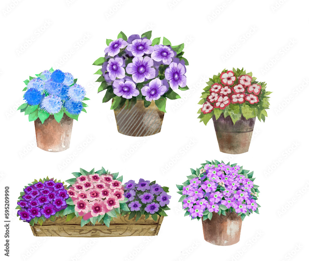collage of flowers in a basket
