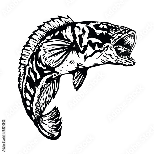 Snakehead fish vector isolated on white background