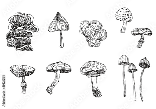 Mushroom doodle clipart isolate on white background, hand drawing Mushroom vector continue line, stylize fungi illustration for graphic element, ink sketching style vector icon