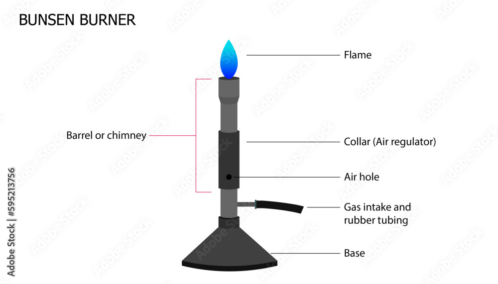 Diagram Of A Bunsen Burner With Labelled Parts Vector De Stock Adobe 