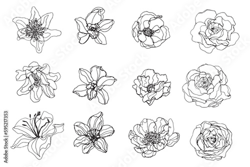Collection of stylized flowers drawing graphic elements, ink sketching floral shapes, botanical outline drawing, Blooming flowers doodle icon isolated on background, hand doodle flowers contour lines
