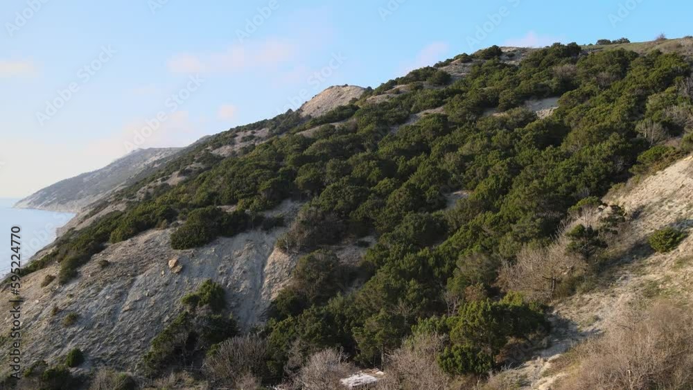 Aerial view of coastline with mountain and evergreen trees with sunlight. Aerial view of coastline with mountain and evergreen trees with sunlight.
