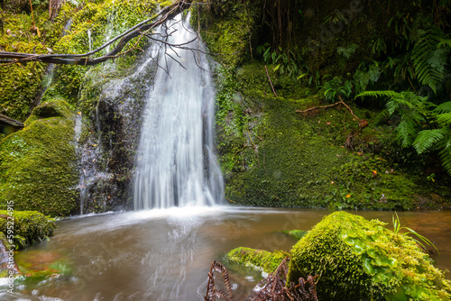 Waterfall along the coastal trail of the Abel Tasman National park on the north end of the South Isalnd of New Zealand