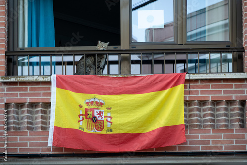 Un gato mira hacia la calle sobre una bandera de España.