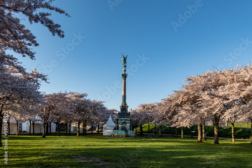 Copenhagen, Denmark Cherry blossoms in the Langelinie park in downtown and the Iver Huitfeldt Memorial, Ivar Huitfeldt mindesmærke. photo